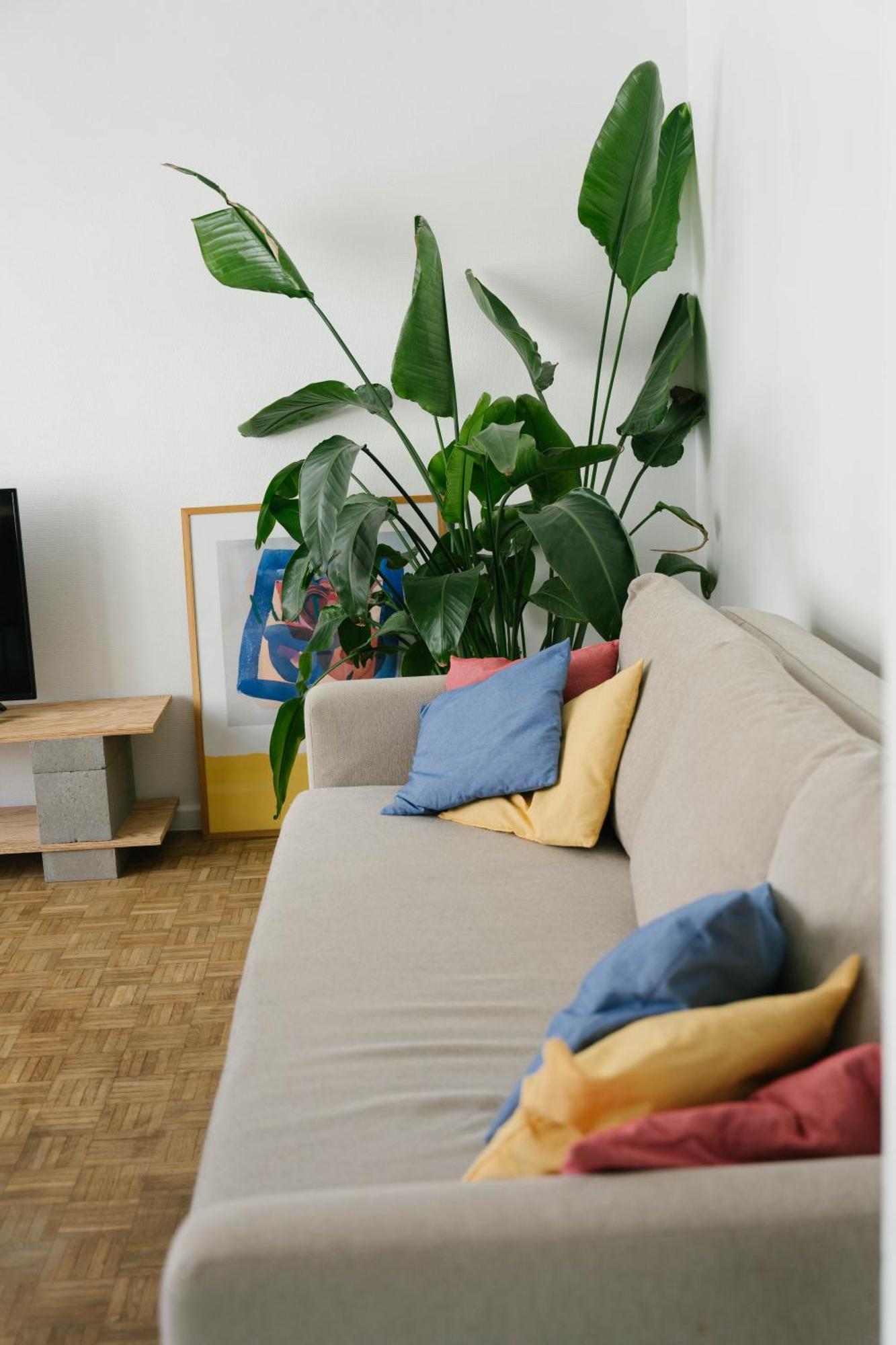 Centrally Located Apartment Close To The Beach ออสเทนด์ ภายนอก รูปภาพ